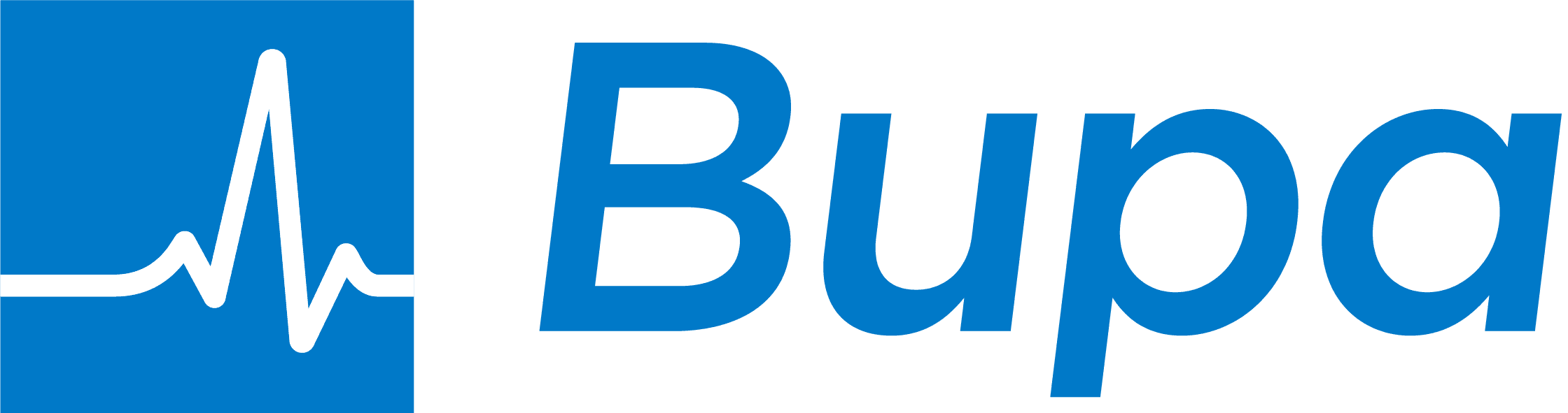 nsw logo